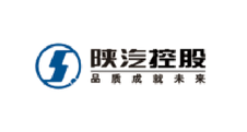 陜汽控股